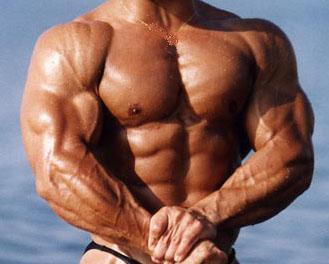 muscle muscle