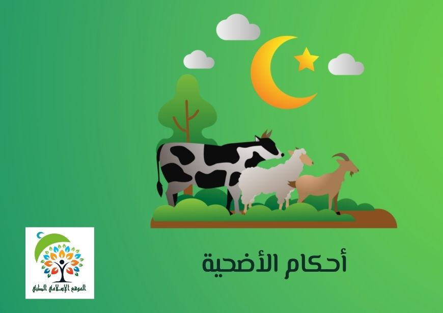 أحكام الأضحية